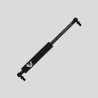 Gas Struts Products