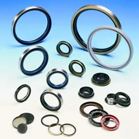 Seals and O-Rings Products